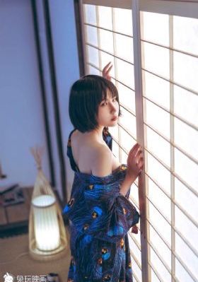 电影美国式禁忌2_DVD完整在线观看