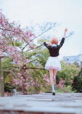 怪物必须死电影免费观看完整版_BD韩语全集免费观看